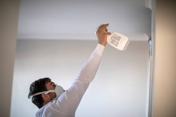 Best Mold Damage Repair  in Morrisville, NC