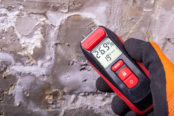 Best Commercial Mold Removal  in Morrisville, NC