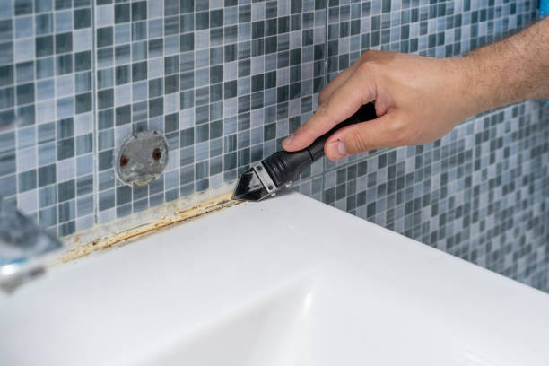 Best Toxic Mold Removal  in Morrisville, NC